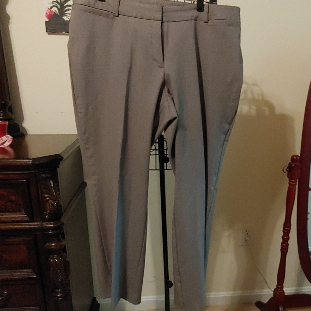 Dress pants